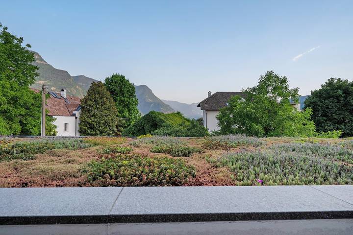 Ganze Wohnung, Bike Apartments Curti "Waldgrün" mit Sonnenterrasse & Alpenpanorama in Pfatten, Fleimstaler Alpen