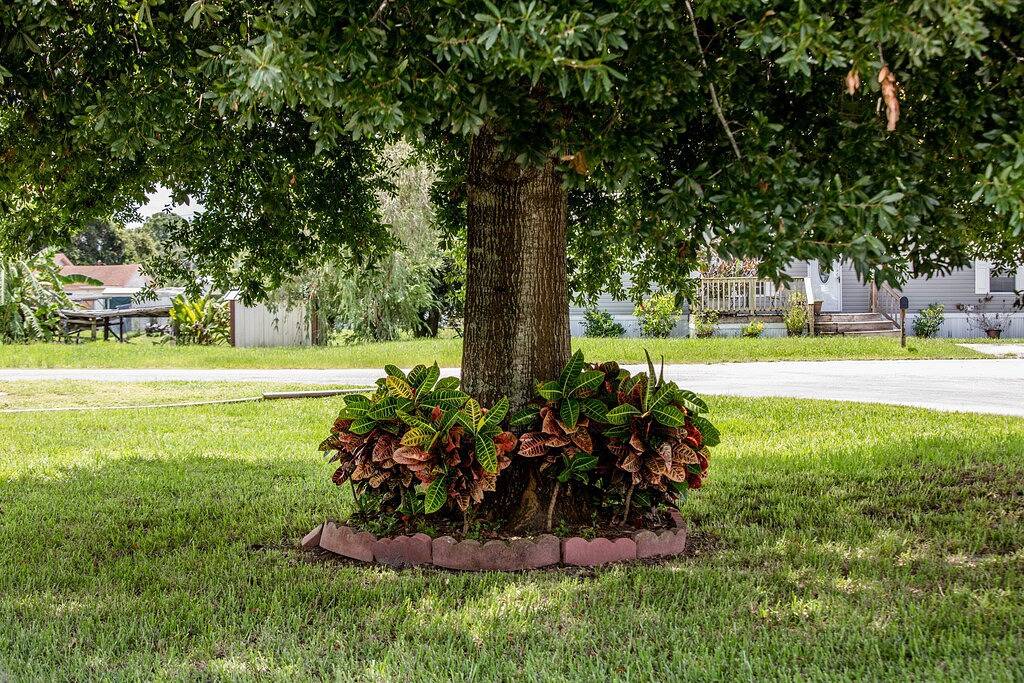 Go Fish House in Lake Okeechobee
