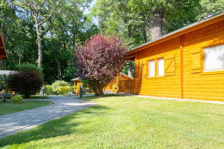 Ferienhaus für 6 Personen, mit Garten in Sachsen - 3