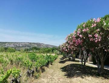 Gîte pour 4 personnes, avec vue et jardin à Saint-Martin-d'Ardèche