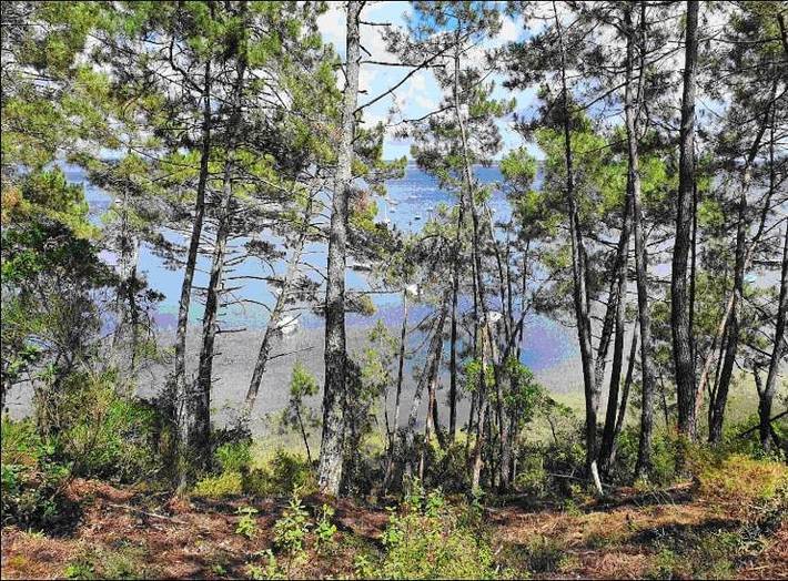 Gîte pour 4 personnes, avec balcon dans Maubuisson - 3