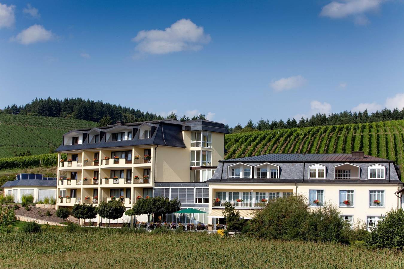Hotel Weingut Weis in Mertesdorf, Moseleifel