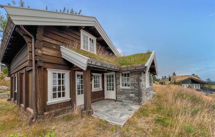 Location de vacances pour 12 personnes, avec jardin ainsi que terrasse et sauna dans Lillehammer - 2