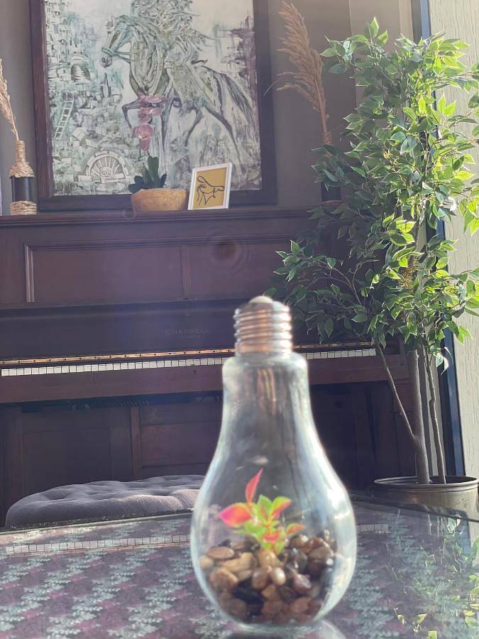 Chambre d’hôte pour 2 personnes, avec piscine ainsi que terrasse et jardin à Oualidia - 4