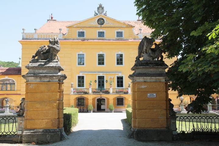 Luxuriöses, einzigartiges barockes Schloss, aufwendig eingerichtet in St. Pölten, Mostviertel