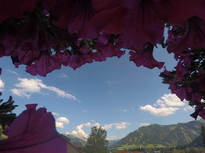 Ferienwohnung für 2 Personen, mit Balkon und Garten sowie Ausblick in Tannheimer Tal - 4