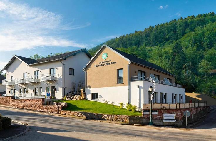 Location de vacances pour 4 personnes, avec jardin à Husseren-les-Châteaux - 2