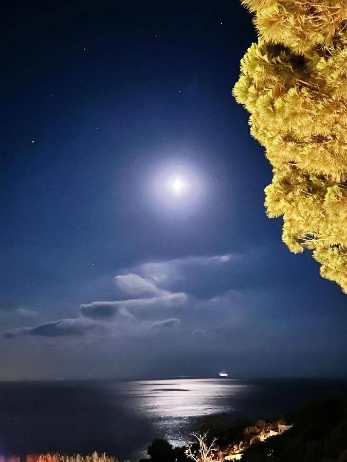 Maison de vacances pour 5 personnes, avec jardin et vue, animaux acceptés - 1