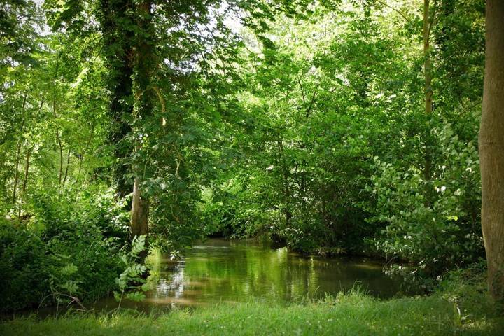 Location de vacances pour 4 personnes, avec Terrasse ainsi que Jardin et Vue à Conty - 2