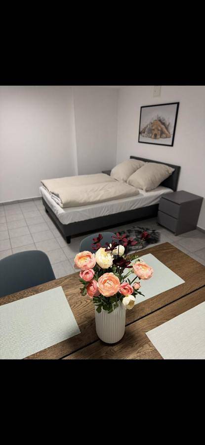 Ganze Wohnung, Ruhige, gemütliche Wohnung, 2 Betten in Pfalzfeld, Hunsrück
