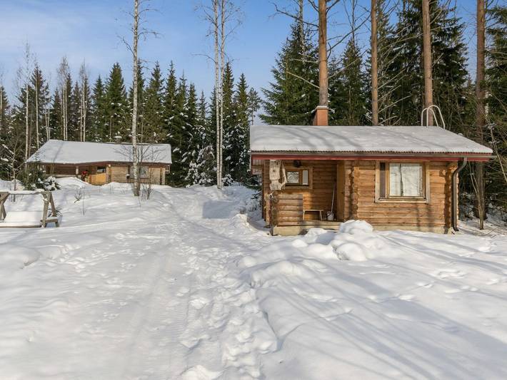 Hevonkuusi in Hankasalmi, Mittelfinnland