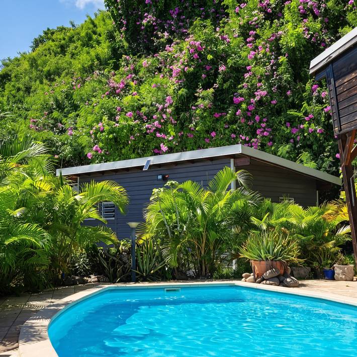 Villa pour 2 personnes, avec piscine ainsi que jardin et terrasse - 1