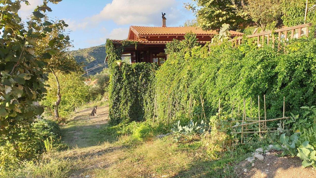 Alagonia Country Homes in Kalamata, Messenia