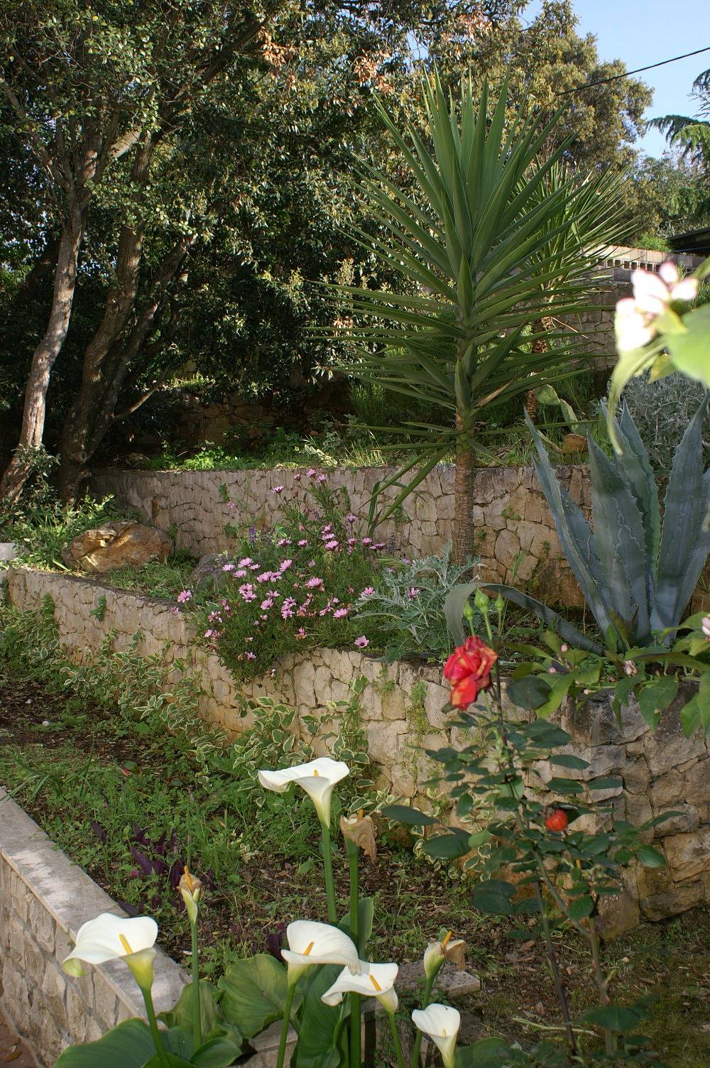 Ganze Wohnung, 2-Zimmer-Ferienwohnung mit Terrasse Zrnovska Banja, Korcula A-3154-b in Zrnovska Banja, Korcula