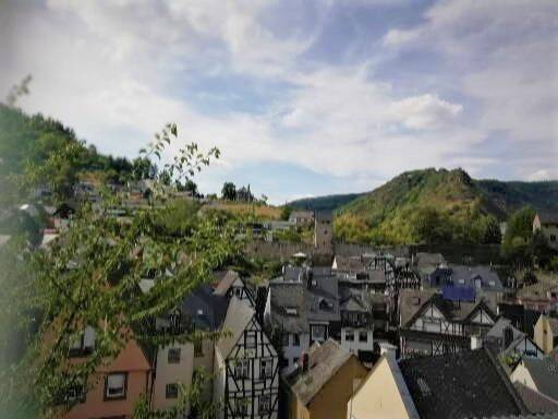 Maison d’hôte pour 3 personnes, avec jardin et vue, animaux acceptés à Cochem - 4