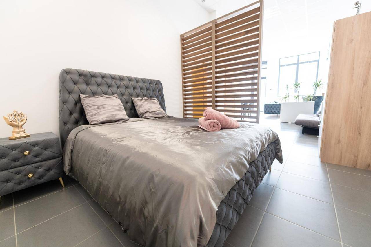 Appartement entier, Apartment in Rive-de-Gier, Parc Naturel Régional du Pilat
