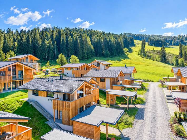 Schöne Ski-in-Ski-out Lodge mit Sauna und Garten in St. Lambrecht, Murau (Kreischberg)