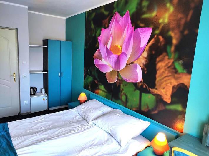 Bed and Breakfast für 1 Personen, mit Haustier - 1
