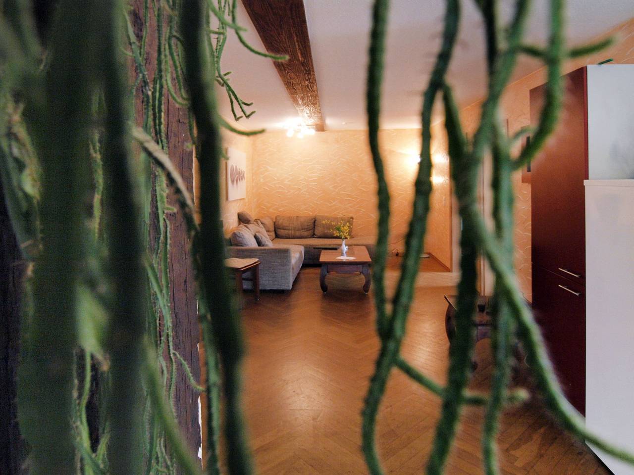 Ganze Wohnung, Ferienwohnung 'Müritz, 80qm' mit Gemeinschaftsterrasse, Gemeinschaftsgarten und Wi-Fi in Malchin, Kummerower See