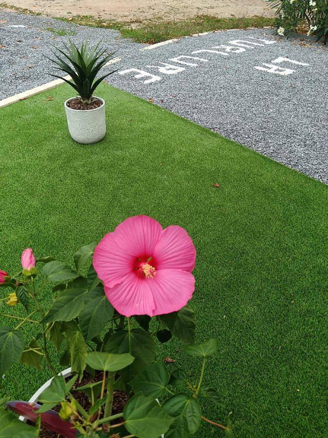 Location de vacances pour 6 personnes, avec jardin ainsi que vue et vue sur le lac à Bressuire - 2