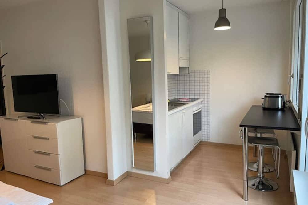 Entire apartment, Terrific studio in the city centre (Art 2) in Zurich, Zurich district