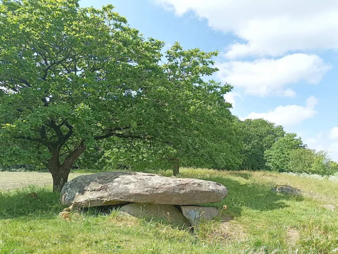 4 Personen Ferienhaus in Hovborg in Hovborg, Vejen