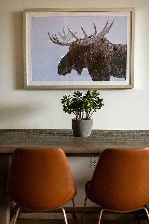 Vacation rental for 8 people, with terrace in Jackson (WY)