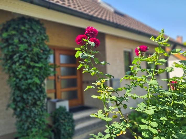 Ferienwohnung für 2 Personen, mit Terrasse - 1