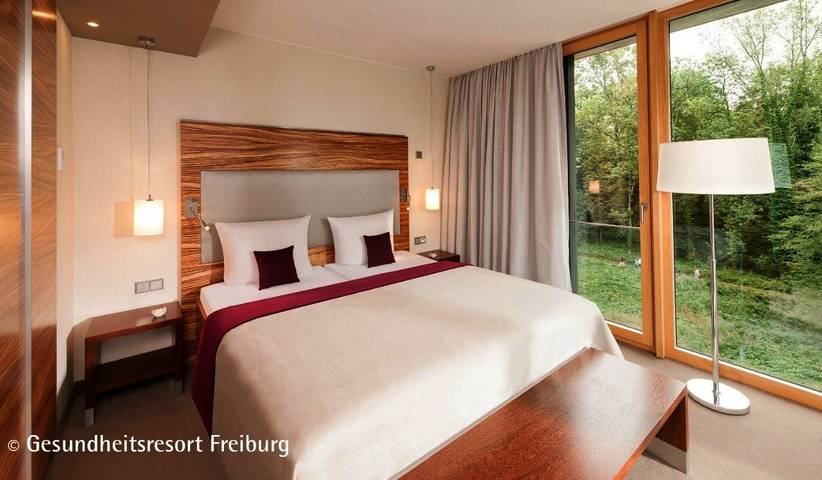 Hotel für 10 Personen, mit Sauna und Garten in Freiburg - 3