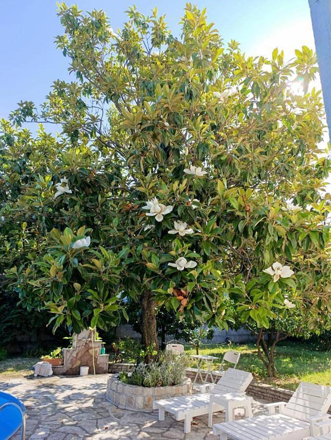 Location de vacances pour 3 personnes, avec Balcon et Jacuzzi ainsi que Terrasse et Jardin dans Bar - 4