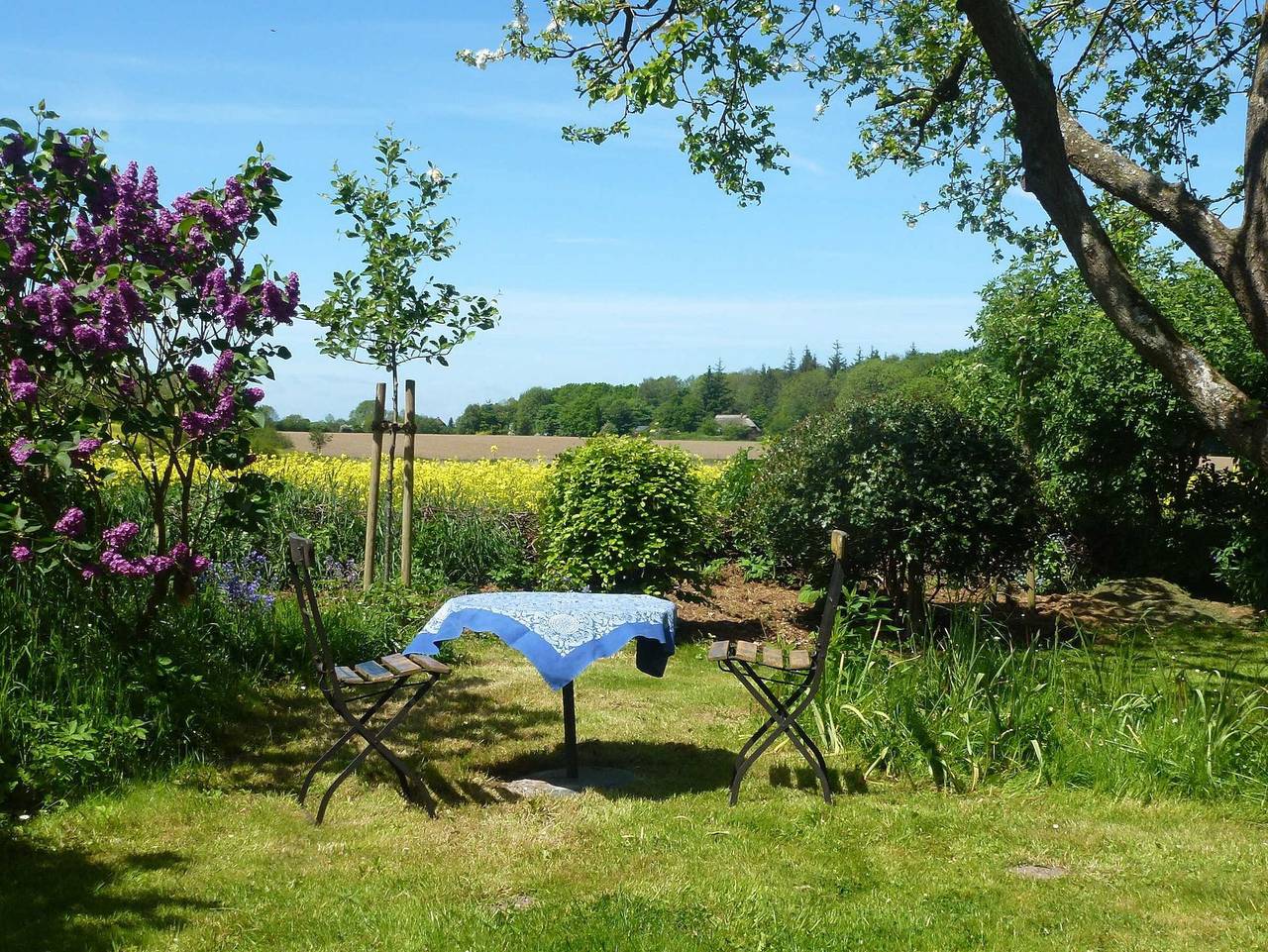 Ganze Ferienwohnung, Ferienwohnung Goldhöft 5 in Geltinger Birk, Gelting