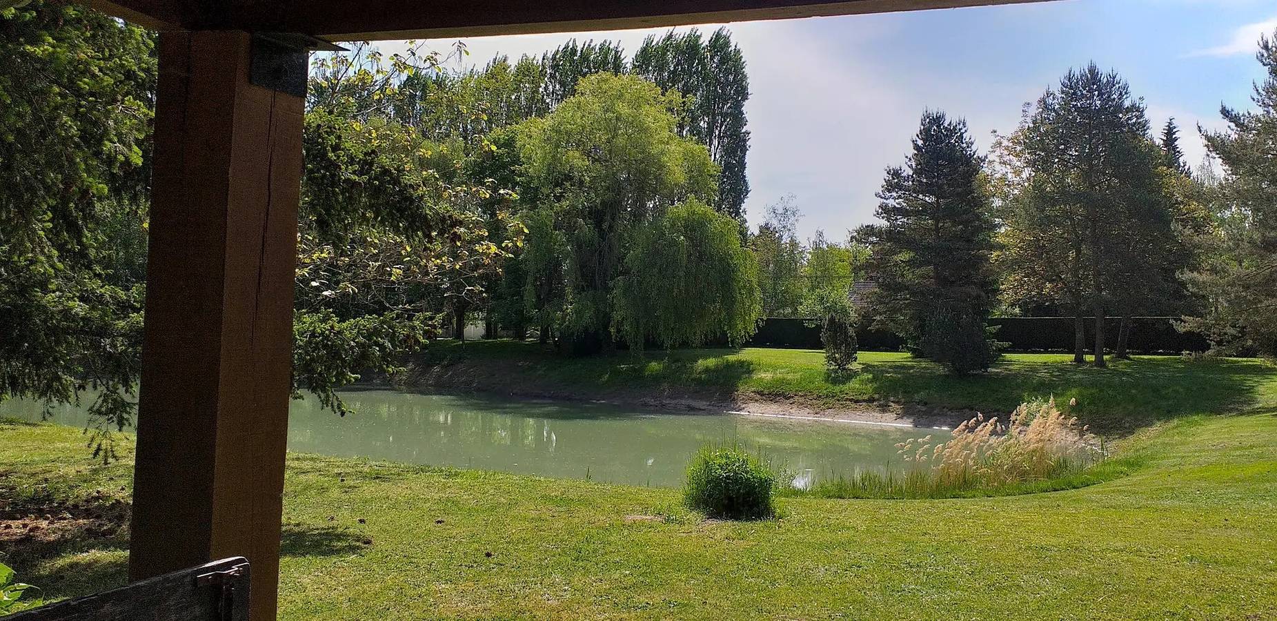 Chambre d’hôtes « Vue sur Étang » avec piscine, terrasse partagées et Wi-Fi in Chitenay, Sologne