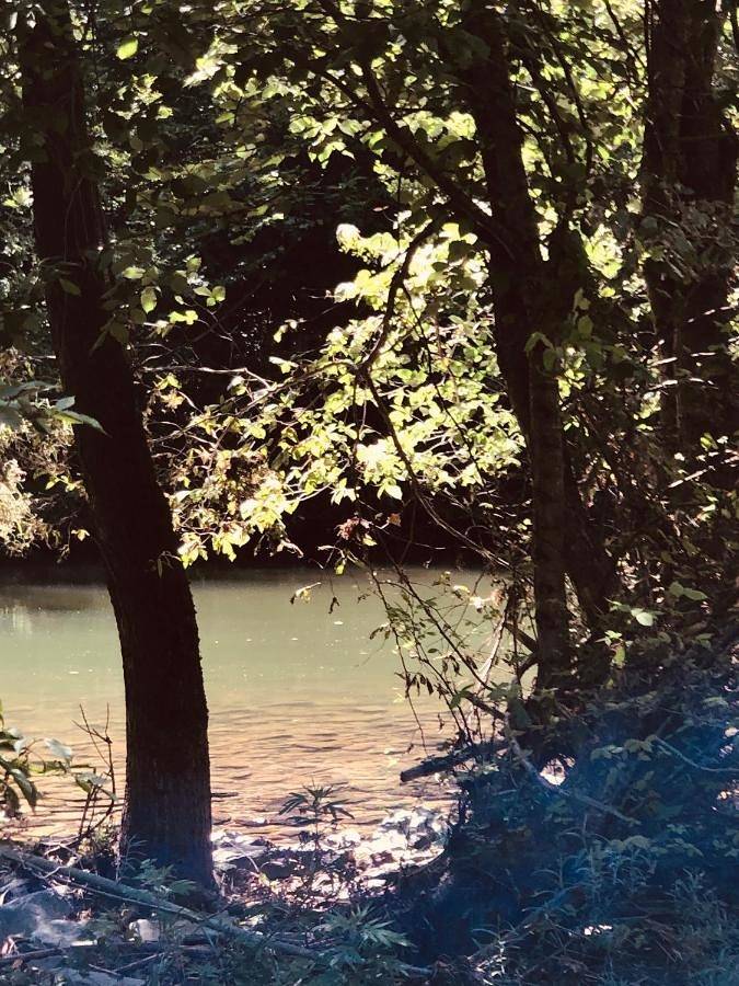 Hôtel pour 3 personnes, avec jardin ainsi que piscine et terrasse, animaux acceptés à La Canourgue - 2