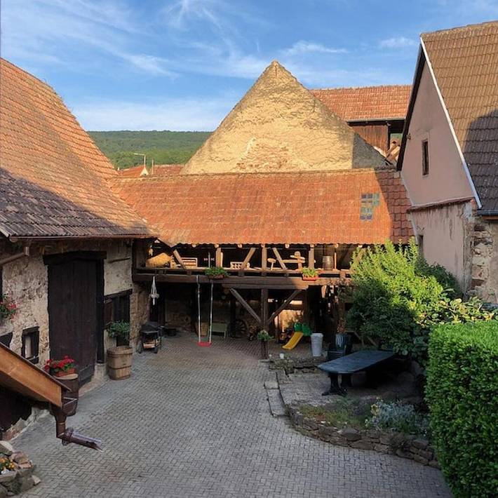 Location de vacances pour 13 personnes, avec jardin et vue, animaux acceptés à Orschwihr - 3