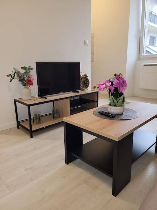 Gîte pour 2 personnes à Scionzier - 4