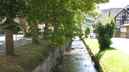 Ferienwohnung für 3 Personen, mit Garten, kinderfreundlich in Lahr