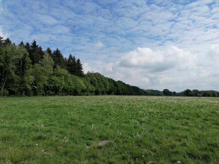 Location de vacances pour 6 personnes, avec jardin et vue, animaux acceptés à Gesves - 2