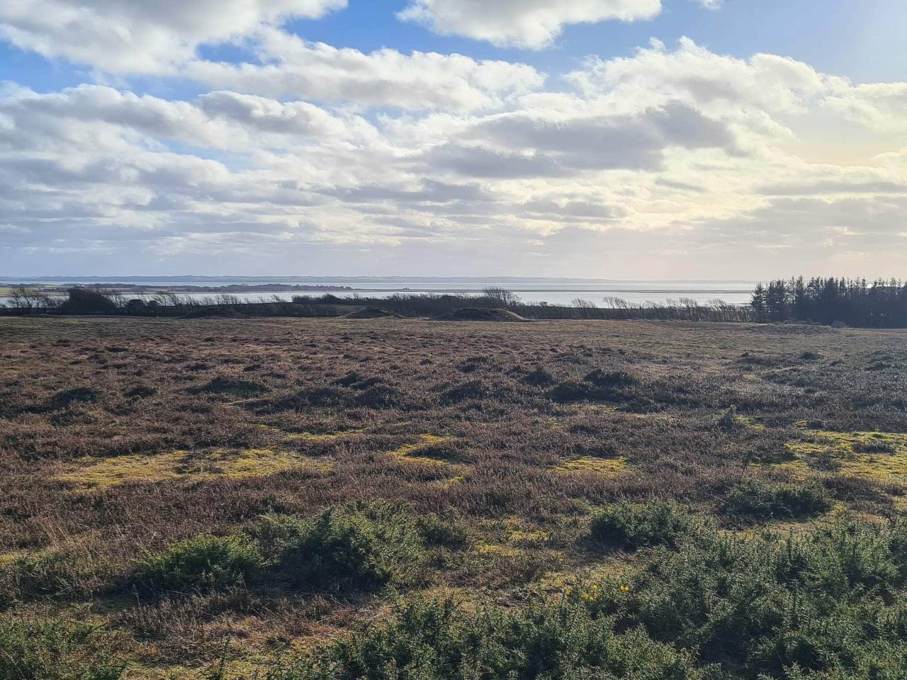 6 Personen Ferienhaus in Hurup Thy-By Traum in Limfjord in Nordjütland