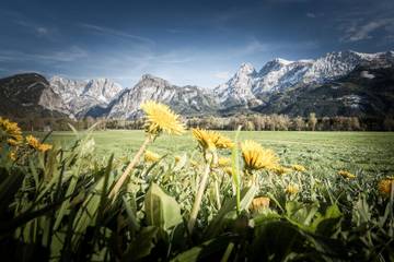 Ferienwohnung für 5 Personen in Admont, Gesäuse, Bild 1