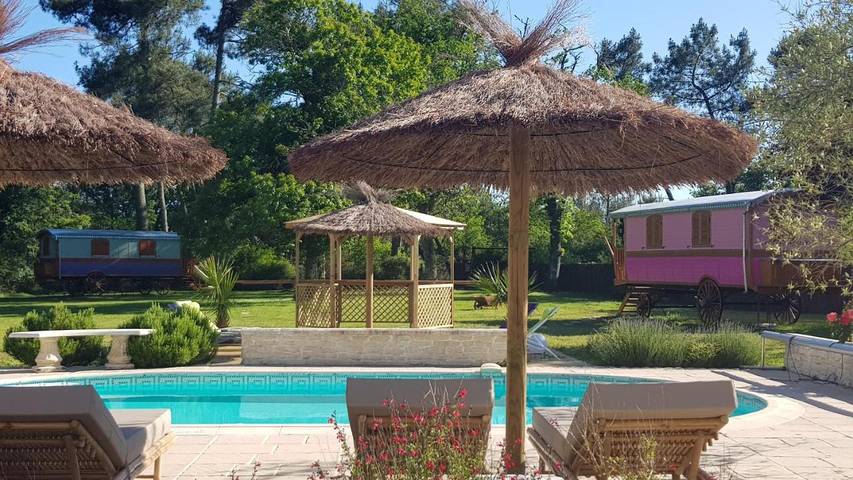 Location de vacances pour 2 personnes, animaux acceptés à Bussac-Forêt - 3