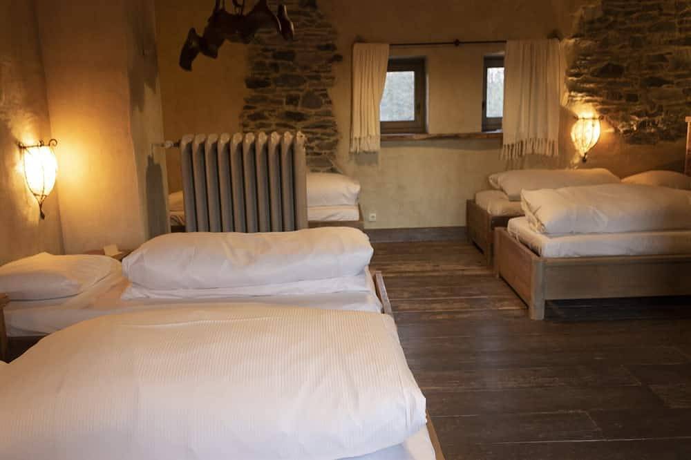 Séjour à Vielsalm avec des amis à quatre pattes in Vielsalm, Région de Bastogne