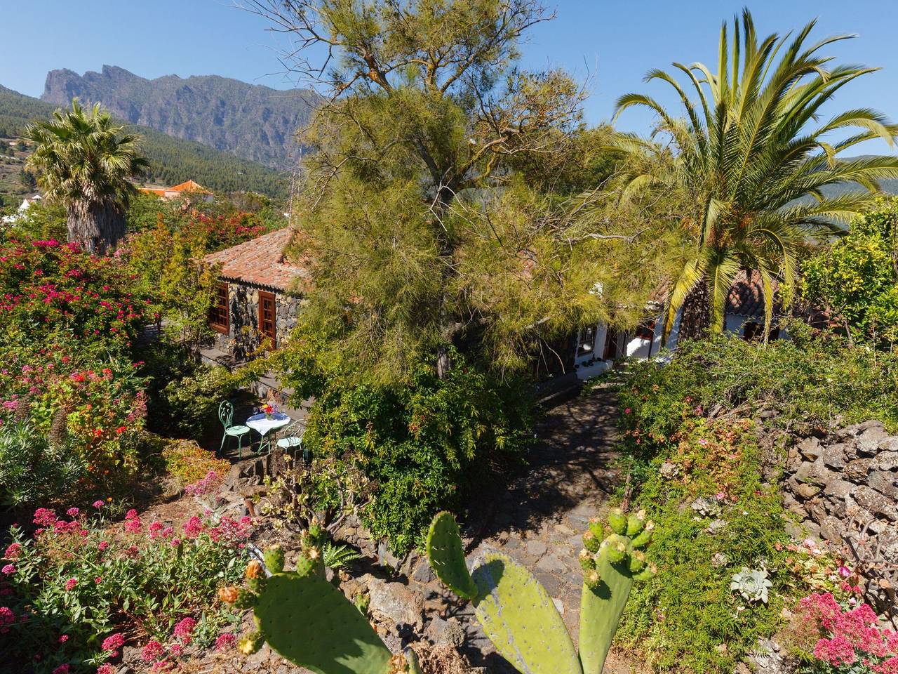 Las Tortugas in El Paso, La Palma Sur