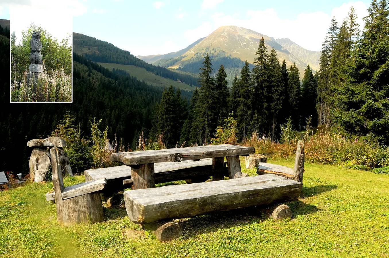 Skihütte an der Piste im Zillertal by Fewo-Plan (Zilf100) in Hochfügen, Ski-Optimal Hochzillertal