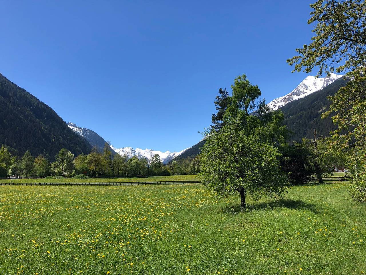 Ganze Ferienwohnung, Elferblick in Milders, Neustift im Stubaital