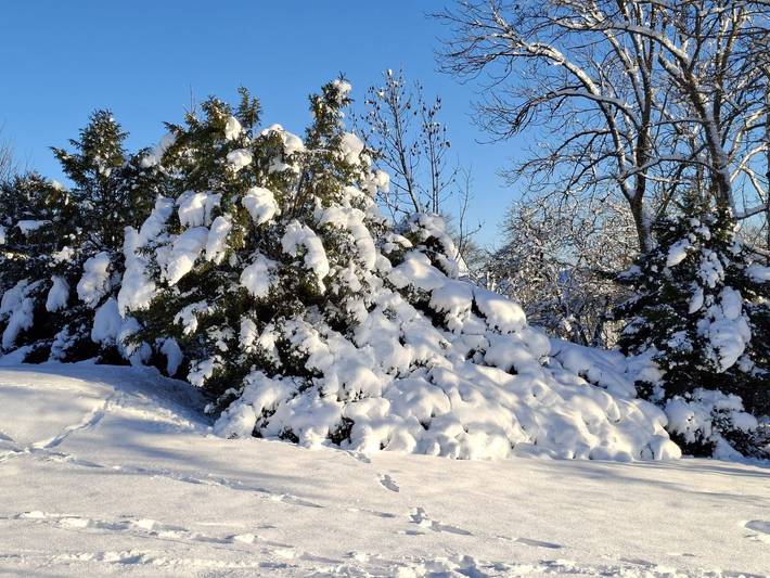 Ferienwohnung für 2 Personen, mit Seeblick und Garten sowie Ausblick, mit Haustier im Weserbergland - 3