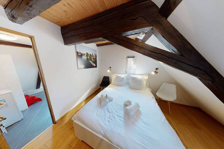 Ganze Wohnung, Spacious duplex near petite france up to 4 in Straßburg, Region Straßburg