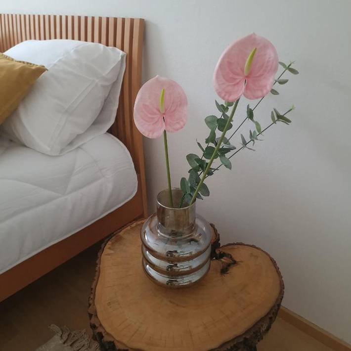 Appartement de vacances pour 2 personnes, avec jardin