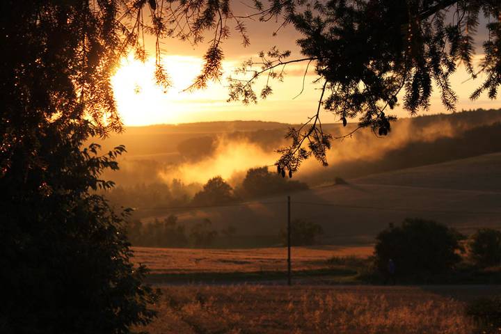 Bauernhof für 3 Personen, mit Terrasse und Pool sowie Garten, mit Haustier im Taubertal - 4