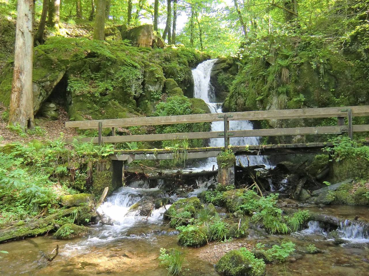 Ganze Ferienwohnung, Kandelbleibe - Kandelbleibe, 50qm, 1 Schlafzimmer, max. 2 Personen in Waldkirch, Südschwarzwald