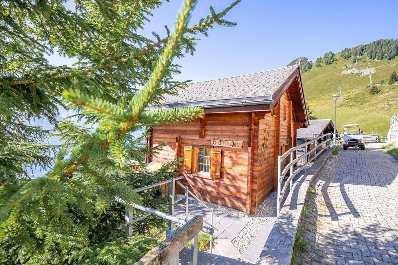 Chalet Collini in Riederalp, Aletsch Arena